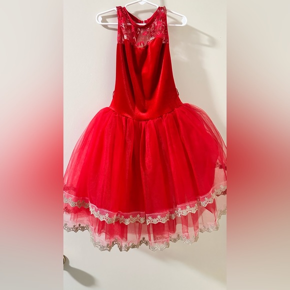 Costume - Picture 1 of 1